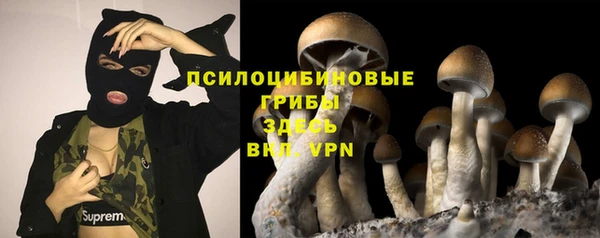 МДПВ Краснотурьинск