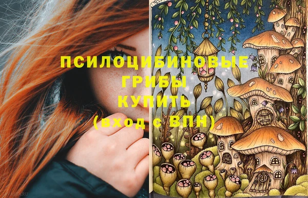 не бодяженный Кукмор