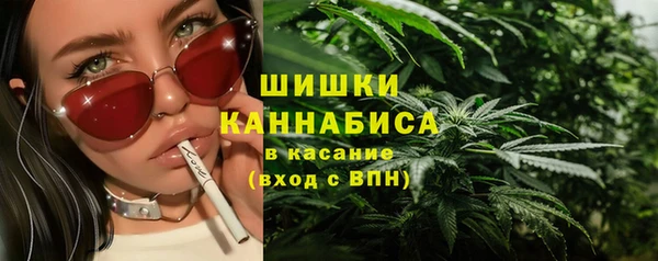 МДПВ Краснотурьинск