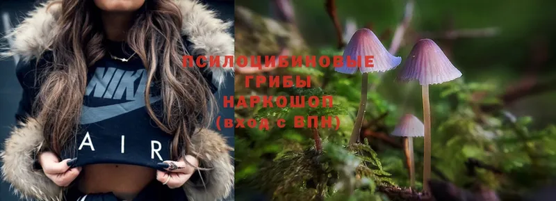 Псилоцибиновые грибы Magic Shrooms  Ярославль 