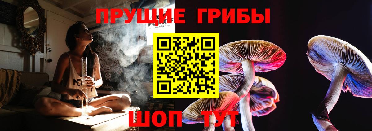 Галлюциногенные грибы ЛСД Ярославль